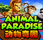 Animal Paradise